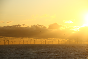 Shell, Eneco to build offshore wind farm in the Netherlands
