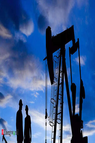 Haldia Petro to acquire Coastal Oil & Gas Infra under bankruptcy route